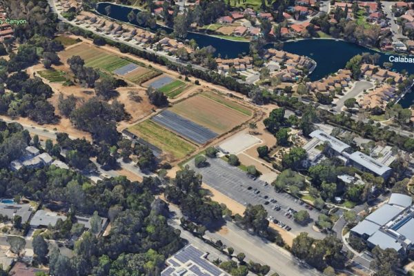 motion picture & Television